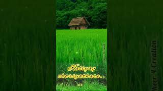 Varamanjaladiya Ravinte Maril  Pranayavarnagal Filim Song video Whatsapp Status [upl. by Datha]