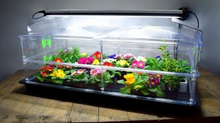 Setting Up Your Propagator  How To Set up Your Propagator [upl. by Eglanteen]