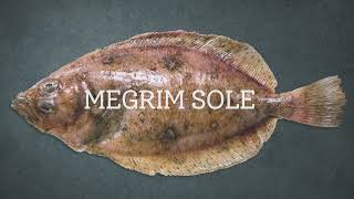 How to cook megrim or Cornish sole with Rich Adams [upl. by Boehike397]