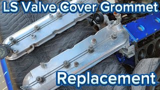 How To Replace LS Valve Cover Grommets [upl. by Pubilis]