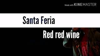 Santa Feria  Red red wine Letra [upl. by Myke]