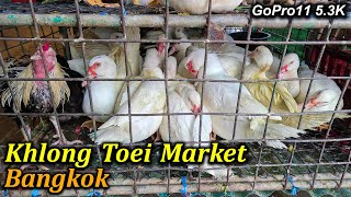 Walking Tour of Khlong Toei Market Bangkok Thailand  GoPro 11 53K November 2022 [upl. by Bernardina]