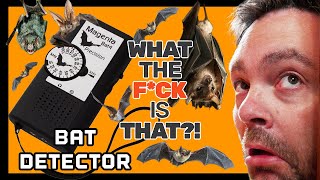 Bat Detector  WTF is That [upl. by Nylecaj]