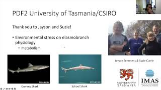 Understanding the Unique Physiology of Elasmobranchs for their Conservation by Andrea Morash [upl. by Sharlene]