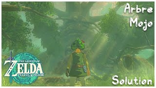 Arbre Mojo  ZELDA TOTK   Forêt Korogu    Astuce [upl. by Annaiviv]