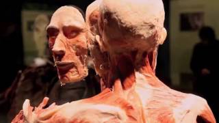 BODY WORLDS Vital [upl. by Zoes]