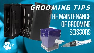 Grooming Tips the maintenance of grooming scissors  TRANSGROOM [upl. by Yerbua]