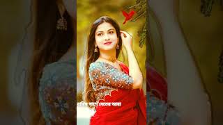 বারির পাশে বেতের আরা  Barir Pashe Beter Are  Bangla Hits Songt [upl. by Bartlett]