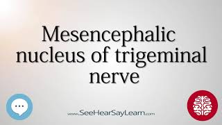 Mesencephalic nucleus of trigeminal nerve Anatomy of the Brain SeeHearSayLearn 🔊 [upl. by Yrral]