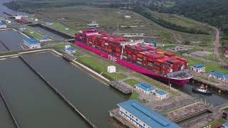 ONE  ONE HAWK transiting Panama Canal [upl. by Eirahs]