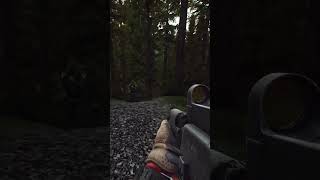 Average Tarkov Experience [upl. by Ojillek96]