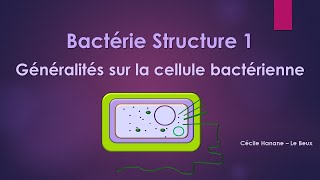 Bactérie Structure 1 BACTERIE [upl. by Lira]