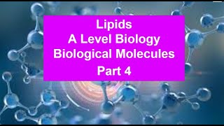 Part 4 Lipids  Biological Molecules [upl. by Artaed]