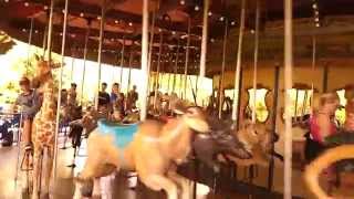 Carousel riding at the Houston Zoo  2014 [upl. by Dzoba684]