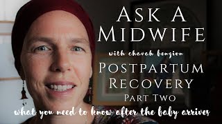 Ask A Midwife about Postpartum Recovery  part two  After the Babys Birth [upl. by Tansy763]