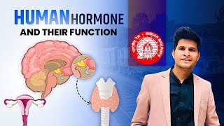 Human hormone and their function sciencebyneerajjangid [upl. by Eekorehc]