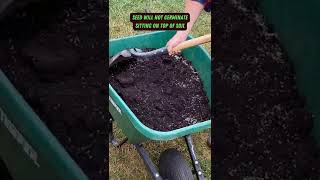 Spread Grass Seed amp Soil Fast  shorts soil maintenance lawn tips [upl. by Akinaj534]