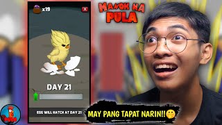 Sa Wakas Nakuha Rin Kita🤩 Super Sisiw  Manok Na Pula Part 5 [upl. by Akemet]