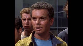 Does Actor Russ Tamblyn Resemble Brian DoyleMurray amp Anne Lockhart Fuzz 72 amp Head Office 85 [upl. by Leugim]