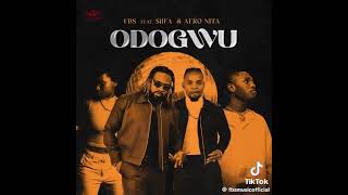 Afronitaa new song ODOGWU is out now ghana tiktokviral viral Afronitaa [upl. by Laforge]