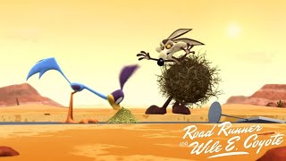 Wile E Coyote and Road Runner CamoCoyote  Looney Tunes Show Cartoon Short Film  Review [upl. by Gamaliel]