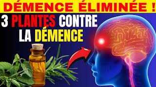 3 PLANTES CONTRE LA DÉMENCE [upl. by Ranjiv]