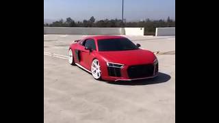 Audi R8 V10 Plus Showcase [upl. by Redle]