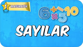 Sayılar 📘 1Sınıf Matematik 2025 [upl. by Einahc961]