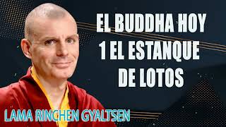 Lama Rinchen El Buddha Hoy 1 El Estanque de Lotos [upl. by Girardo233]