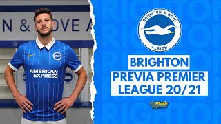 PREMIER LEAGUE 202021 BRIGHTON amp HOVE ALBION [upl. by Afatsum]