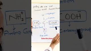 Why do we call Amino acid Amino acid Structure of Amino acid [upl. by Keverne]