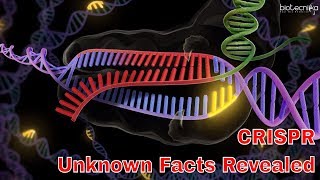 Unknown Facts About CRISPR cas9 Gene Editing Technique  Voice of Biotecnika [upl. by Four737]