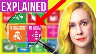 UN Sustainable Development Goals 2030 17 SDGs EXPLAINED for BIZ [upl. by Drofnil]