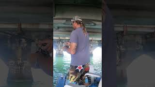 Bridge Fishing in the Florida Keys shorts foryou bridgefishing [upl. by Nylyoj]