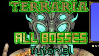 Terraria 13 all bosses tutorial hardmode and prehardmode [upl. by Liag535]