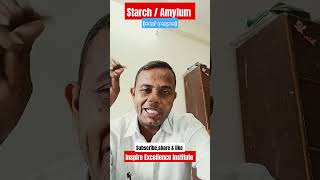 Starch मण्ड मण्ड स्टार्च Amylum starch [upl. by Arturo]