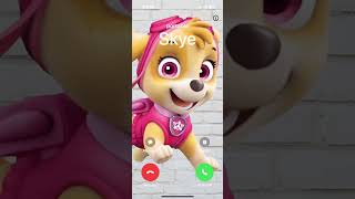 PHONE CALL OF SKYE PAW PATROL [upl. by Nahij603]