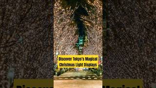 Discover Tokyo’s Magical Christmas Light Displays [upl. by Mcclenon]