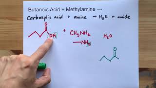 Butanoic Acid  Methylamine   Nmethylbutanamide  Water [upl. by Hayidah]