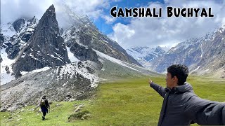 Uttarakhand ka सबसे खूबसूरत Hidden trek 😍😍 Gamshali Bughyal  Niti Valley ep 04  Travel Bug [upl. by Giselbert198]