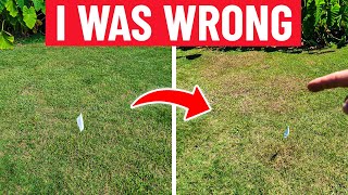 Crabgrass Weed Killer DOMINATED Unlike I Expected [upl. by Alejandra]