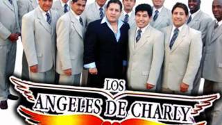 aun te amo angeles de charly by lea [upl. by Daryn362]