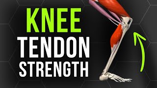 Build Knee Tendon Strength in 5 Minutes [upl. by Darleen]