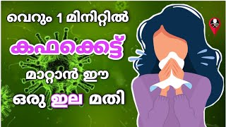 ഏത് കടുപ്പമുള്ള കഫവും ഉരുകി ഒലിച്ച് ഇല്ലാതാക്കും  Get rid from cold and flu  kapha kettu maran [upl. by Ecnarwal]