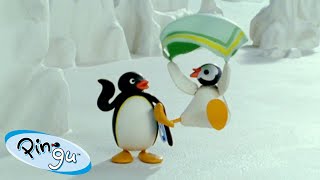 Pingus Windy Day 🐧  Pingu  Official Channel  Cartoons For Kids [upl. by Yelwah]