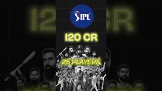 Facts about IPL 2025 ipl2025 cricket t20 iplhistory iplseason cricketfans [upl. by Gradeigh]