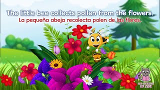 ✔✔✔ THE LITTLE BEE Cuento en inglés para niños con subtítulos  Cuento bilingüe INGLÉS ESPAÑOL [upl. by Ecarret]