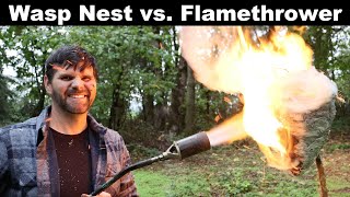 Flamethrower vs Wasp Nest  I was Wrong One More Time Mousetrap Monday [upl. by Imelida833]