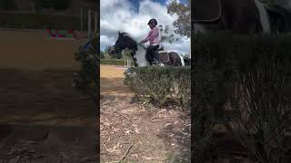 What are your thoughts and opinions on equestrians Person who rides horses equestrain [upl. by Mercado]