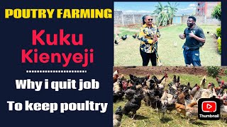 POULTRY FARMING PROFITABILITY [upl. by Seko]